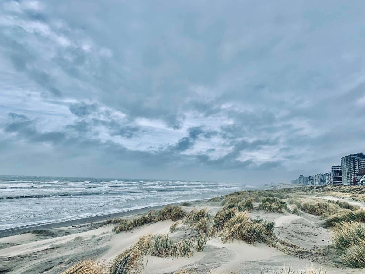 B&B Huize Van Damme Nieuwpoort Dış mekan fotoğraf
