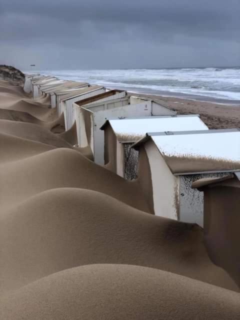 B&B Huize Van Damme Nieuwpoort Dış mekan fotoğraf