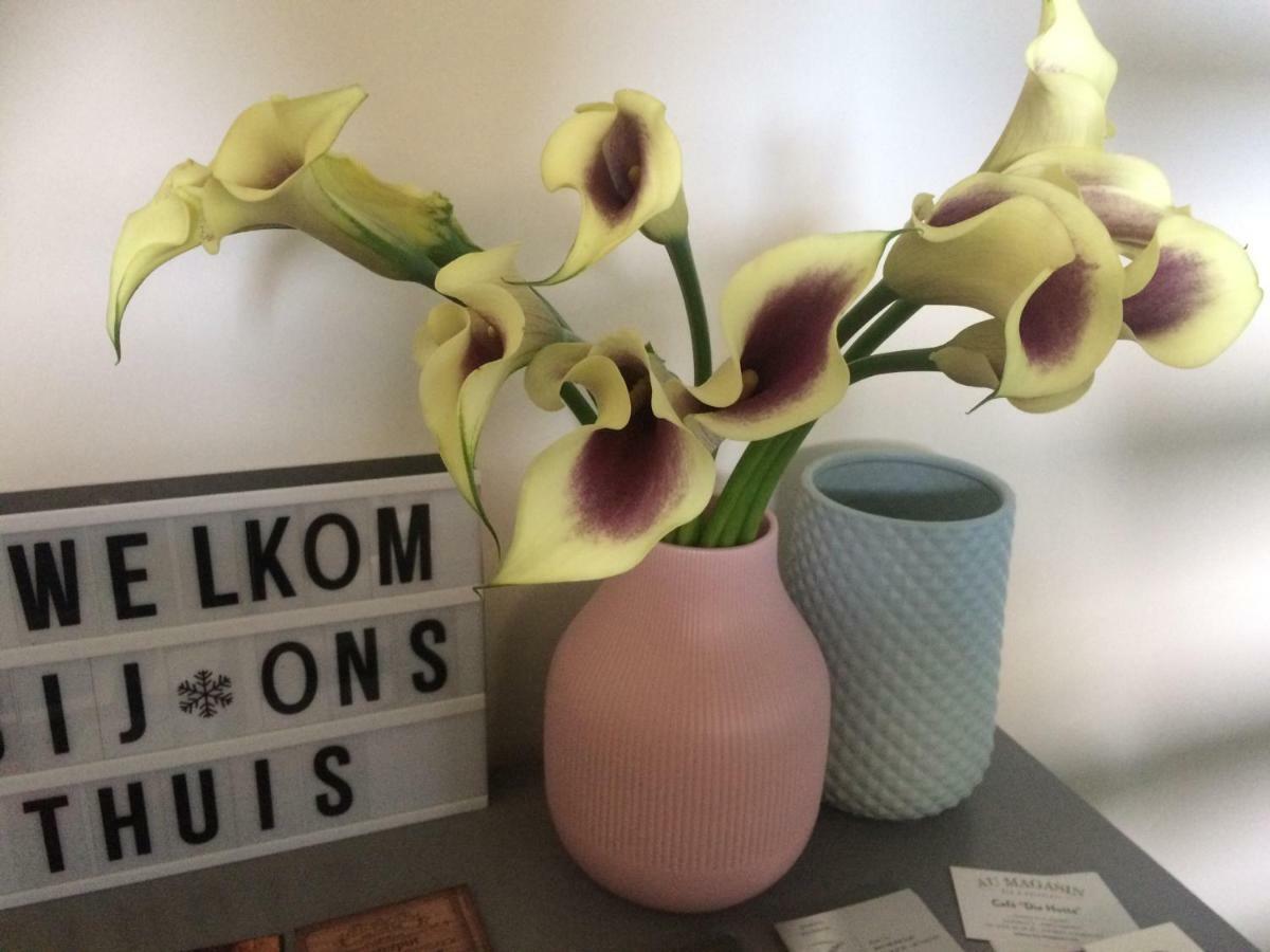B&B Huize Van Damme Nieuwpoort Dış mekan fotoğraf