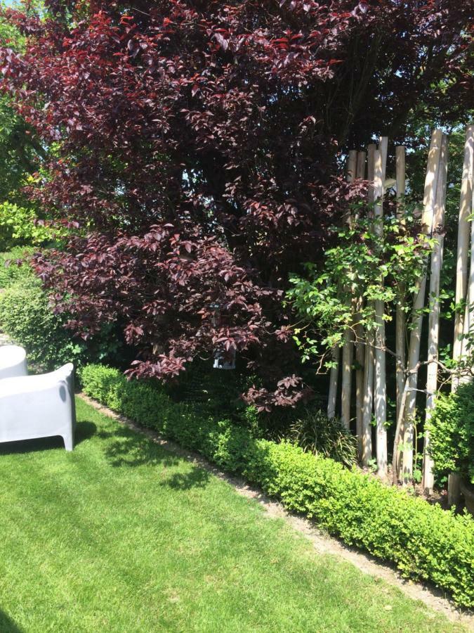 B&B Huize Van Damme Nieuwpoort Dış mekan fotoğraf