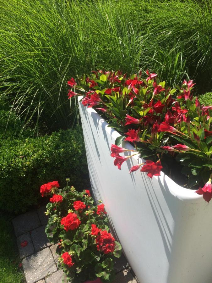 B&B Huize Van Damme Nieuwpoort Dış mekan fotoğraf